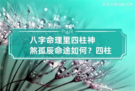 孤辰意思|【孤辰 意思】孤辰寡宿的殘忍真相：看懂命盤，化解孤獨運命！